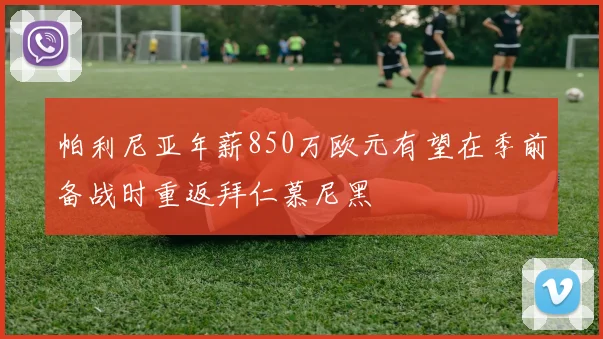 帕利尼亚年薪850万欧元有望在季前备战时重返拜仁慕尼黑