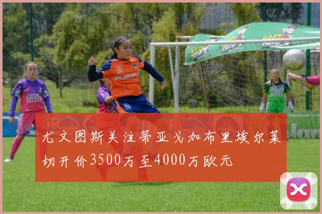 尤文图斯关注蒂亚戈加布里埃尔莱切开价3500万至4000万欧元