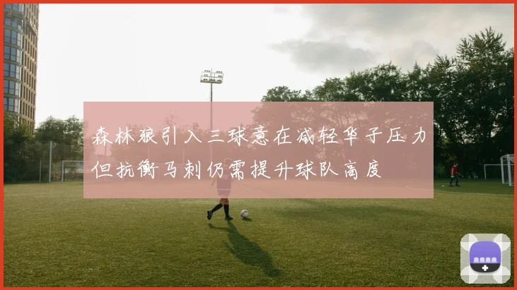 森林狼引入三球意在减轻华子压力但抗衡马刺仍需提升球队高度